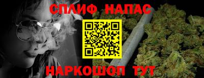 сатива Братск