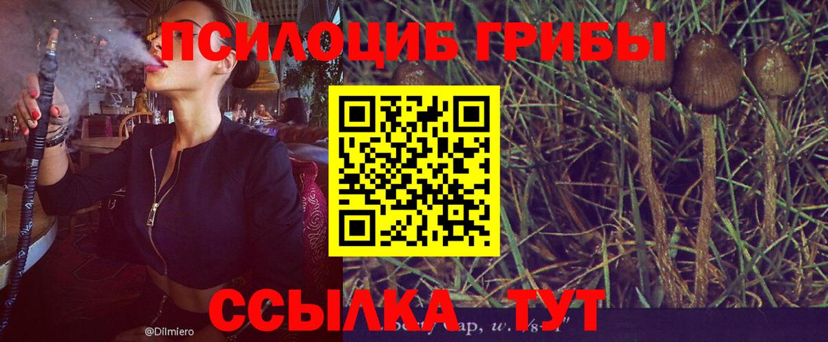 Скопин  Псилоцибиновые грибы мицелий  Вход с VPN  Галлюциногенные грибы мухоморы 